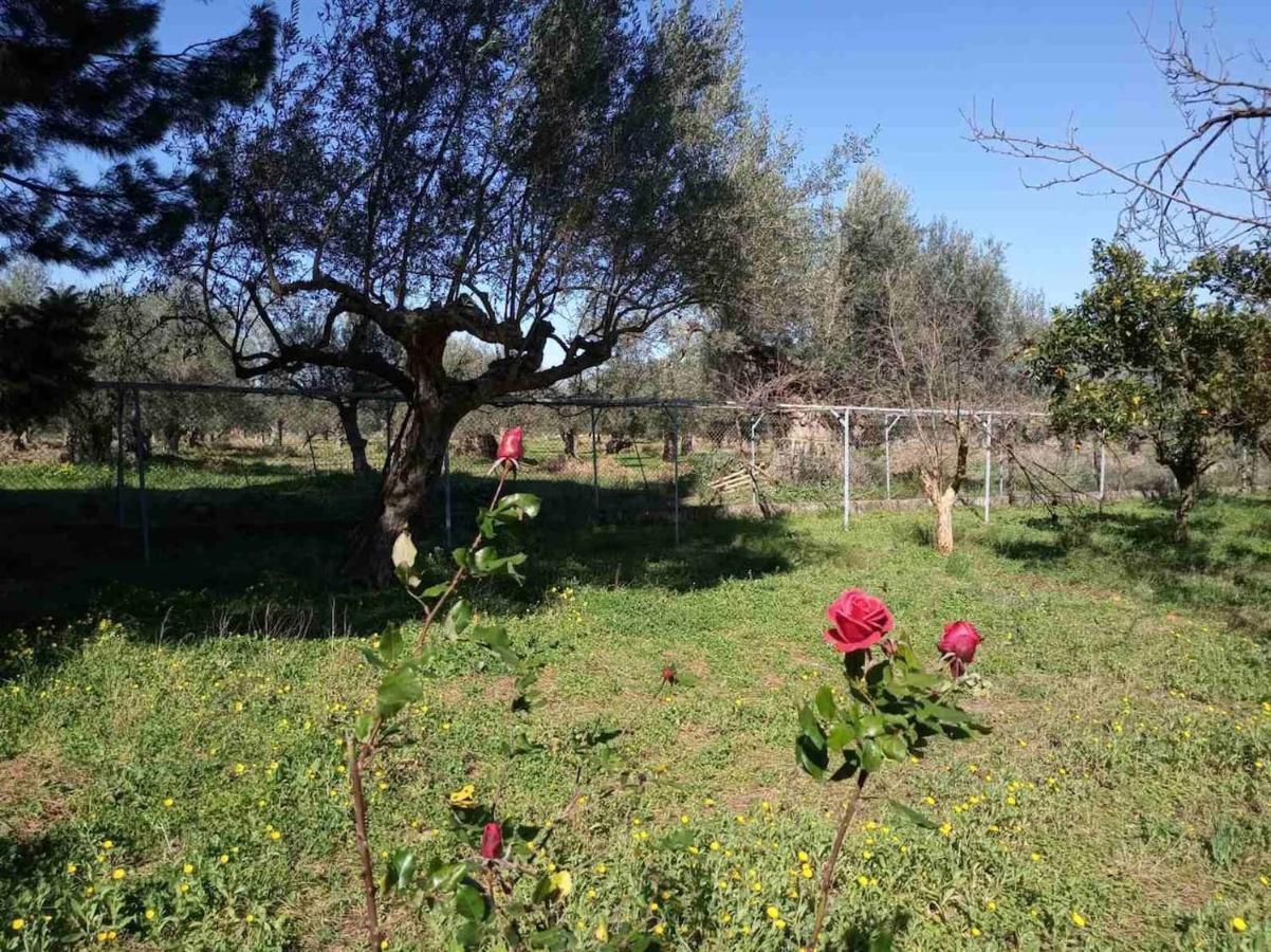 Manousi 2 - First Floor Villa Mistras Exterior foto